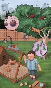 We did not find results for: Microbiological Hazards Of Wild Birds And Free Range Chickens Springerlink