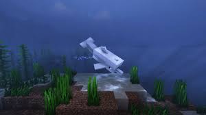 What Do Dolphins Eat In Minecraft? 1.14.4 - Youtube