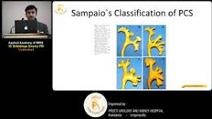 The club's colors are yellow, green and red. Applied Anatomy Of Rirs Dr Siddalinga Swamy Youtube