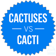 Cacti belong to the succulent family of plants. Cactuses Or Cacti Which Is Correct Writing Explained