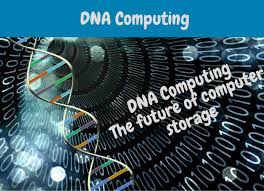 Dna computing is fundamentally similar to parallel computing in that it takes advantage of the dna — deoxyribonucleic acid (medical » oncology) deoxyribonucleic acid (academic & science. What Is Dna Computing And Why Is Dna Computing Important Ssla Co Uk