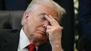 How to Find (and Cook) Ōra King Salmon, The Wagyu of the Sea