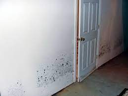 Call us today for all of your drywall needs! Basement Wall Restoration Wet Drywall Repair New Jersey