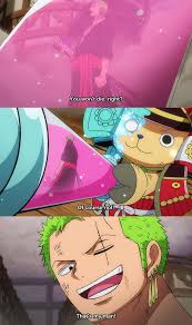 no thoughts, head empty, just Zoro being proud of Chopper 💚🌸