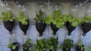 We did not find results for: Bottle Tower Garden 3 Youtube