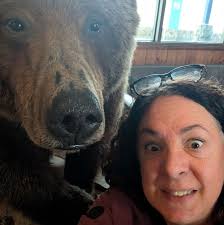 Can car windows be tinted for sun eczema?