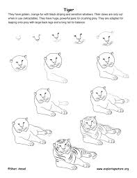 How do you draw a tiger head? Step By Step How To Draw A Tiger Novocom Top