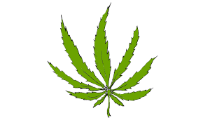 All newsletters metro sports business. Unpopular Opinion Potheads Are Addicts The Lariat