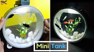 Check spelling or type a new query. Diy Beautiful Mini Aquarium Using Pvc Pipes Aquarium Paralon Youtube