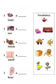 Activities For The Five Senses For Preschool Learning