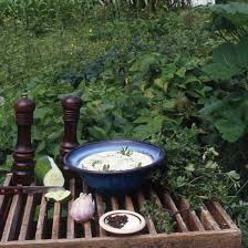 Some of you may remember your grandmothers fixing it as a salad green or a vegetable side dish. Homemade Tzatziki Recipe With Purslane