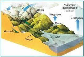 We did not find results for: Buatlah Sebuah Bagan Siklus Air Secara Sederhana Brainly Co Id