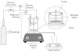 A couple attempt to escape from this pop culture hell. Membranes Free Full Text Vanillin As An Antifouling And Hydrophilicity Promoter Agent In Surface Modification Of Polyethersulfone Membrane Html