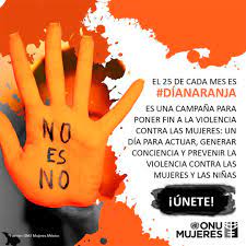 Miguel angel gutirrez chvez cedula profesional 109146 jalisco febrero 25 del 2015. Estas El La Razon Por La Que El Dia Naranja Se Conmemora Cada Mes Infobae