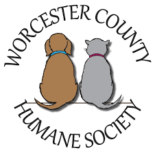 Please be patient with the wait times for responses and. Pets For Adoption At Worcester County Humane Society In Berlin Md Petfinder