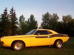 Image result for Golden Fawn 1974 Challenger