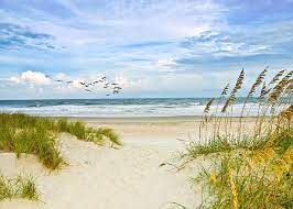 4.5 out of 5 stars. Huntington Beach Scene Photograph By Mike Covington