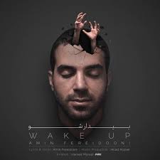 Amin Fereidooni Bidar Sho