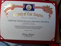 Learn more about our adoption process. Home