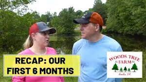 #43 Starting A Christmas Tree Farm - Our First 6 Months [Recap] - Youtube