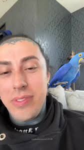 I INFINITELY LOVE how Ronnie's beautiful little baby birds are always  backing him up, supporting him! 😂🖤🦜🦜 @ronnieradke . . .  #fallinginreverse #fallinginreverseband #fallinginreversesupport ...