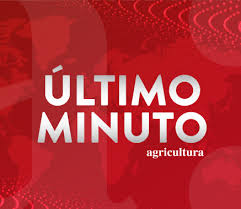 Se mantiene el endurecimiento de la etapa de transición que incluirá Plan Paso A Paso 24 Comunas De La Region Metropolitana Salen De Cuarentena Total