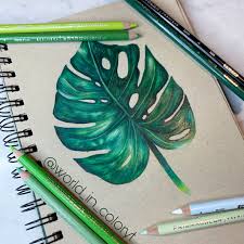 Blending makes it easy to learn how to draw with a pencil. Leaf Drawing Leaf Drawing Color Pencil Art Pencil Art Drawings