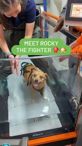 Remembering this beautiful baby . . . Maddie Kathryn 10/9/04