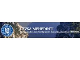 Iată care sunt favoriții din acest an (video) acum 1 ora 188. ReferinÅ£e ClienÅ£i