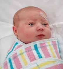 Mornington News 26th November 2024 by Mornington Peninsula News Group