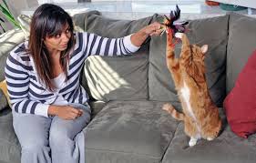 Konuşan kedi tom ve diğer tüm kedi oyunları sitemizde ücretsiz. Kedinizin Muhtesem Bir Oyun Ar Patiliyo Com