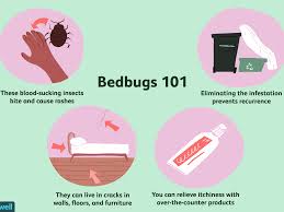 Check spelling or type a new query. How Bedbugs Are Treated