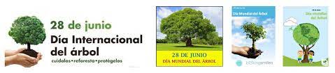 'el que se mueva no sale en el foto'. 28 De Junio Dia Mundial Del Arbol Homenaje A Los Arboles