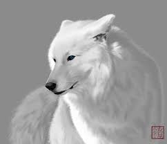 Aww doesn't he look cute as a puppy. 33 White Wolves With Bright Blue Eyes Ideas White Wolf Beautiful Wolves Wolf With Blue Eyes