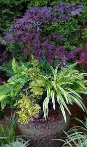 House Garden Ideas Shipping Containers And Front Garden Ideas Cheap In 2020 Container Garden Design Backyard Garden Landscape Diy Container Gardening