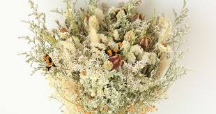 We did not find results for: Pampas Grass And Dried Flower Trend 2019