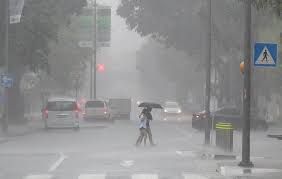 Preparing for rainy season in southeast asia. Increase In Prices Of Vegetables In Singapore And Malaysia Because Of Rainy Season