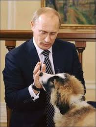 The best memes from instagram, facebook, vine, and twitter about putin dog. 80 Putin And Animals Ideas Putin Vladimir Putin Animals
