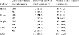 To dowload baidu root go!!! Onion And Shallot Lines With Shoot And Root Formation On Growth Download Table
