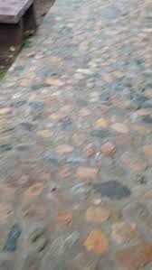 Instagram video by Abby Dsouza • Oct 16, 2024 at 5:32 AM