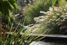 Les Jardins De La Poterie Hillen 01 12 09 01 01 10 Jardins Jardins Du Monde Miscanthus Sinensis Silberfeder