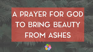 The saying beauty is in the eyes of the beholder, goes to say that defining beauty can be tough. 20 Top Bible Verses About Beauty Inspiring Scripture