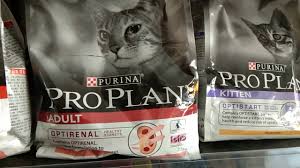 Check spelling or type a new query. Perbedaan Pro Plan Kitten Adult Derma Plus House Cat Sterilised Dan Delicate Youtube