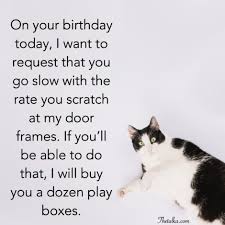 Amazing Happy Birthday Wishes For Cat Funny Happy Birthday Wishes Happy Birthday Wishes Birthday Wishes