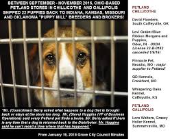 To learn more about each adoptable dog, click on the i icon for some fast facts or click on their name or photo for full. Between Ohio Voters For Companion Animals Ovca Facebook
