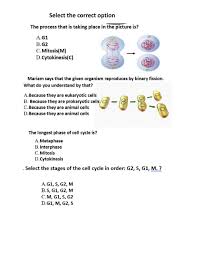 Prophase 1.cells a & f. Cell Division 3 Worksheet