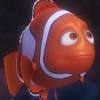 Dory, le poisson chirurgien bleu amnésique, retrouve ses amis nemo et marin. 1
