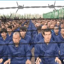 Parliament: China must close all camps ...