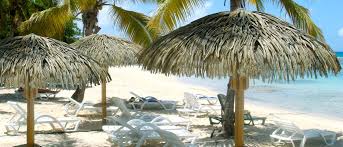 Parasol Exotique En Feuilles De Palmier Synthetiques Palmex France Parasol Feuille Palmier Parasol Plage