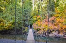 While we continue to feature destinations that make our state wonderful, please take proper precautions or add them to your bucket list to see at a later date. Ultimate Guide To Grove Of The Patriarchs Loop 2021 Hiking Washington
